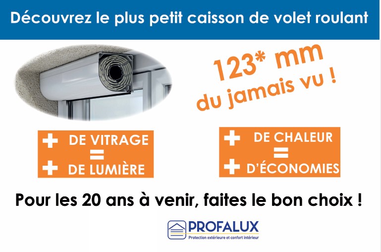 VOLET ROULANT ELECTRIQUE PROFALUX VISIO (option moustiquaire) — free download